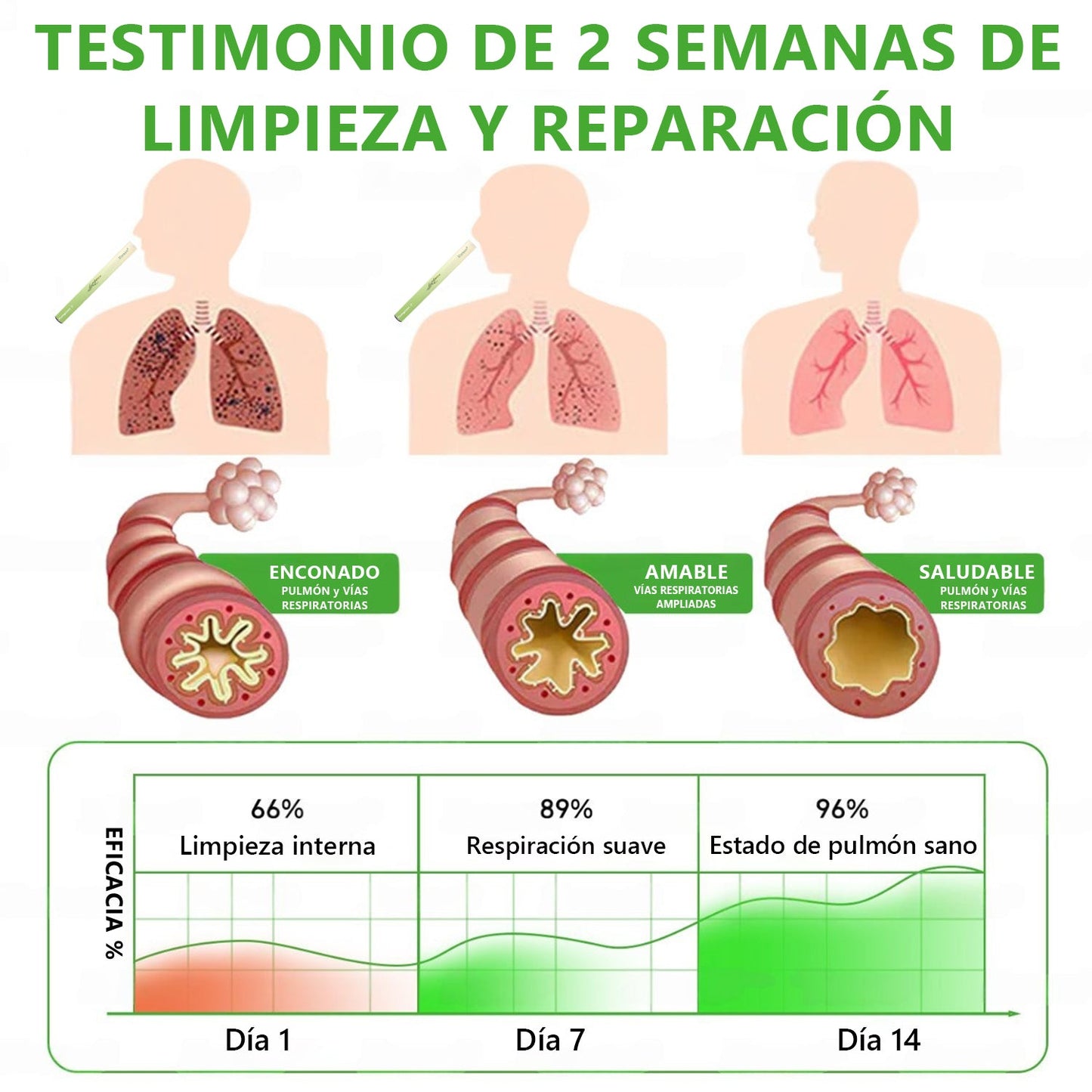 𝐓𝐢𝐞𝐧𝐝𝐚 𝐨𝐟𝐢𝐜𝐢𝐚𝐥 ✨𝐌𝐮𝐫𝑤𝗈𝒏® Difusor Botánico de Mullein para Limpieza de Pulmones (🫁 Tos, faringitis, dificultad para respirar, flema, congestión nasal, bronquitis, síntomas alérgicos, malestar pulmonar)2🔥