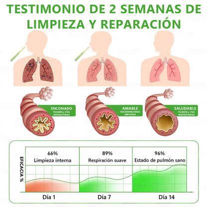 𝐓𝐢𝐞𝐧𝐝𝐚 𝐨𝐟𝐢𝐜𝐢𝐚𝐥 ✨𝐌𝐮𝐫𝑤𝗈𝒏® Difusor Botánico de Mullein para Limpieza de Pulmones (🫁 Tos, faringitis, dificultad para respirar, flema, congestión nasal, bronquitis, síntomas alérgicos, malestar pulmonar)2🔥