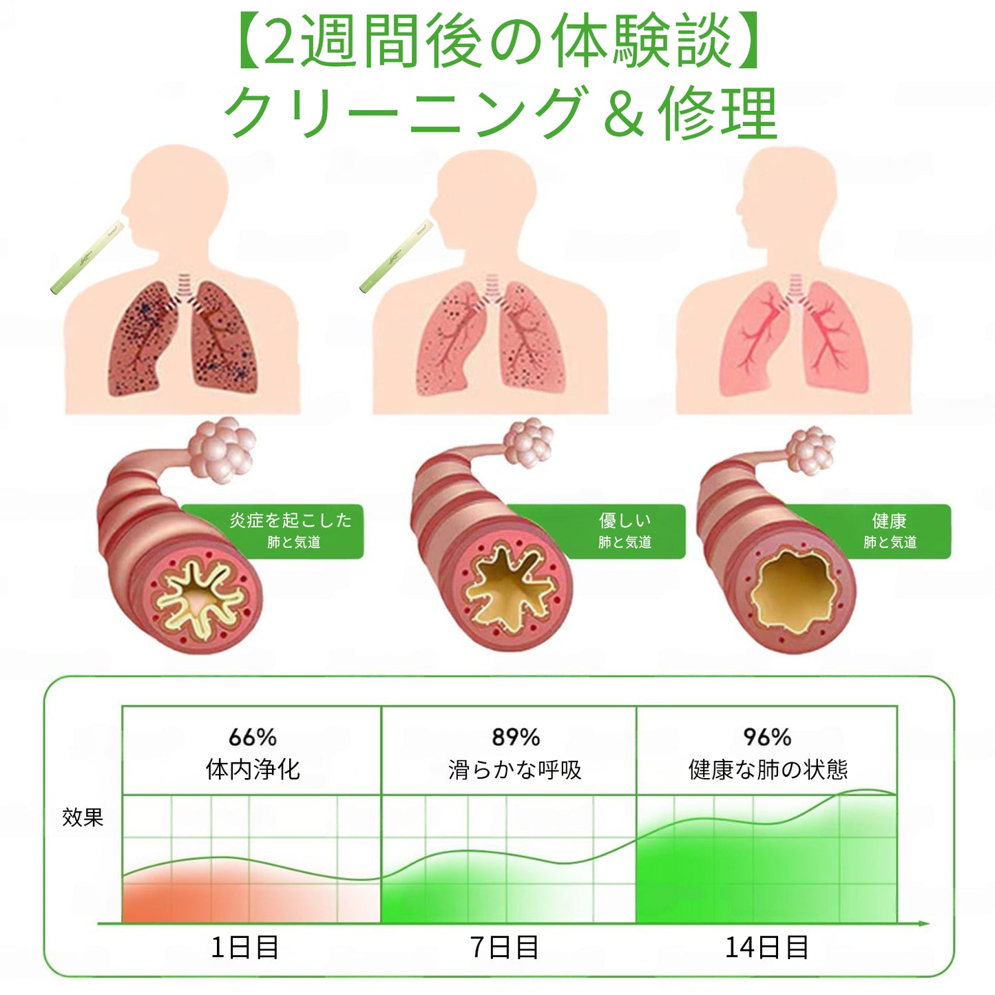 公式ストア✨Murwon® ムレイン植物ディフューザー（肺のケア用） 🫁 咳、咽頭炎、呼吸困難、痰、鼻づまり、気管支炎、アレルギー症状、肺の不快感🌷