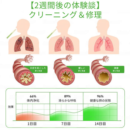 公式ストア✨Murwon® ムレイン植物ディフューザー（肺のケア用） 🫁 咳、咽頭炎、呼吸困難、痰、鼻づまり、気管支炎、アレルギー症状、肺の不快感🌷